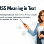 LMSS Meaning in Text
