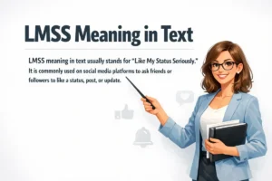 LMSS Meaning in Text