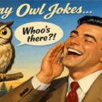 funny owl jokes