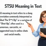 STSU Meaning in Text.